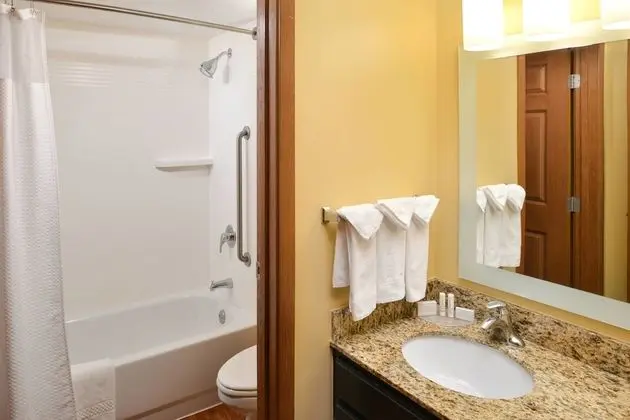 Stüdyo, 1 Büyük (Queen) Boy Yatak ve Çekyat (Mobility Accessible, Roll-In Shower)