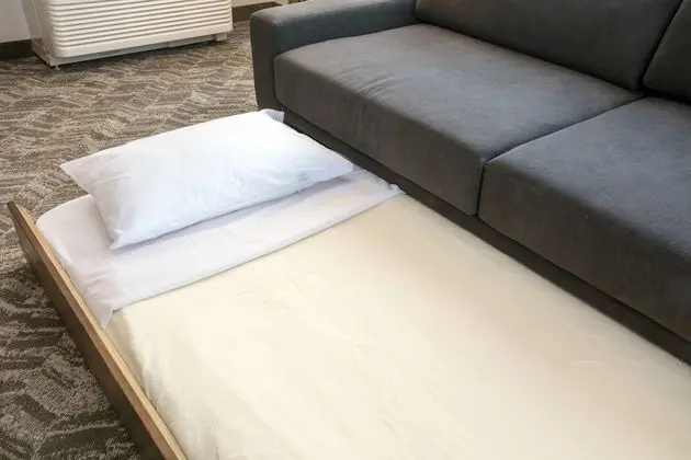 Stüdyo Süit, Birden Çok Yatak (Mobility/Hearing Access, Roll-In Shwr)