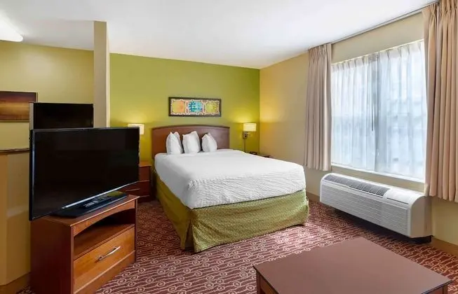 Deluxe Stüdyo Süit, 1 Büyük (Queen) Boy Yatak ve Çekyat, Sigara İçilmez, Küçük Mutfak