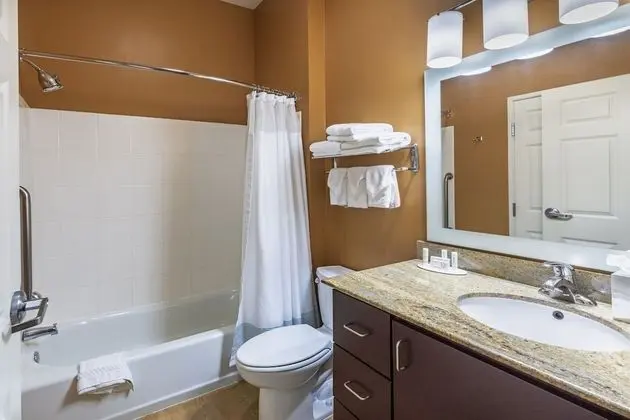 Stüdyo, 1 En Büyük (King) Boy Yatak ve Çekyat (Mobility/Hearing Accessible, Tub)