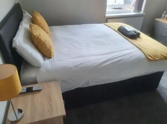 Superior Tek Büyük Yataklı Oda, Ortak Banyo (with TV)