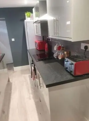 Superior Tek Büyük Yataklı Oda, Ortak Banyo (with TV)