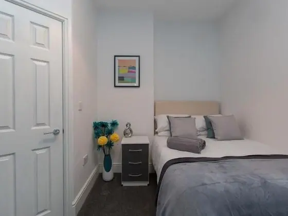 Tek Büyük Yataklı Oda, Banyolu/Duşlu (Room 1)