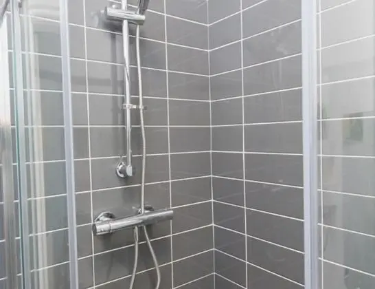 Tek Büyük Yataklı Oda, Banyolu/Duşlu (Room 1)