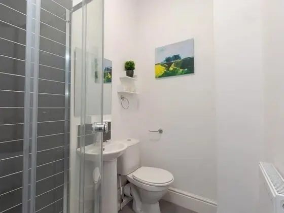 Tek Büyük Yataklı Oda, Banyolu/Duşlu (Room 1)