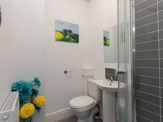 Tek Büyük Yataklı Oda, Banyolu/Duşlu (Room 2)
