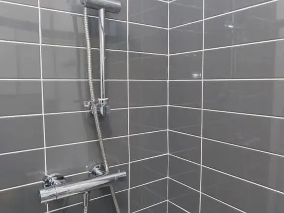 Tek Büyük Yataklı Oda, Banyolu/Duşlu (Room 2)