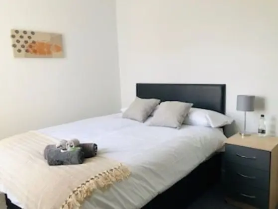 Superior Tek Büyük Yataklı Oda, Ortak Banyo (With TV)