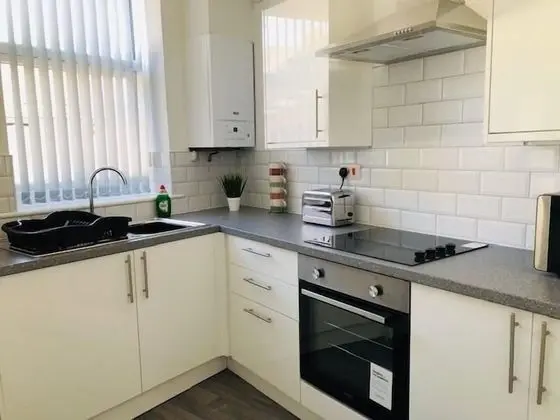 Superior Tek Büyük Yataklı Oda, Ortak Banyo (With TV)