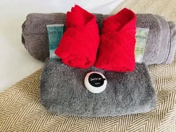 Superior Tek Büyük Yataklı Oda, Ortak Banyo (With TV)