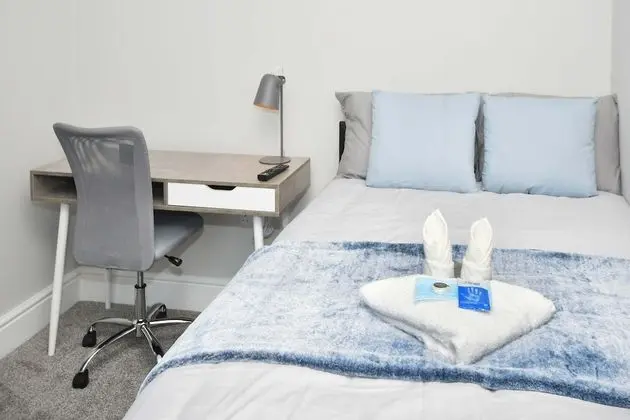 Superior Tek Büyük Yataklı Oda, Ortak Banyo (With TV)