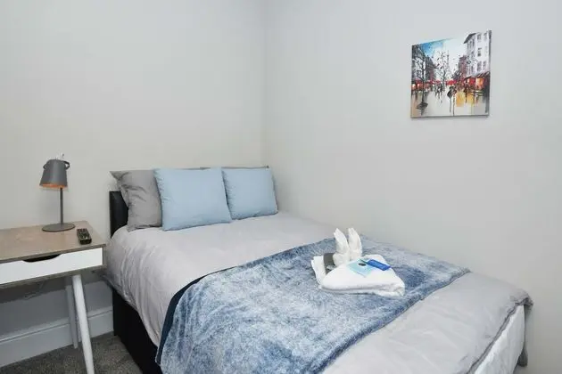Superior Tek Büyük Yataklı Oda, Ortak Banyo (With TV)