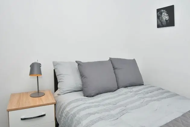 Deluxe Tek Büyük Yataklı Oda, Ortak Banyo (with TV)
