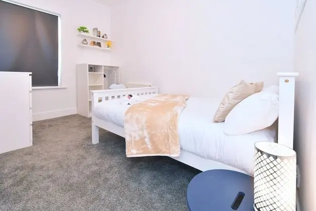 Superior Tek Büyük Yataklı Oda, Ortak Banyo (With TV)