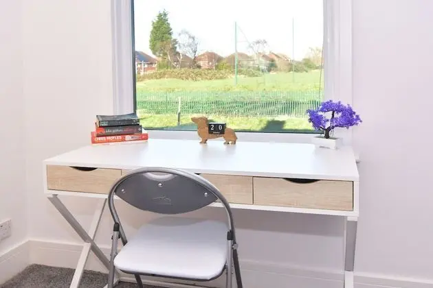 Superior Tek Büyük Yataklı Oda, Ortak Banyo (With TV)