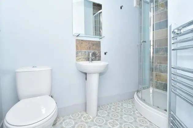 Superior Tek Büyük Yataklı Oda, Ortak Banyo (With TV)