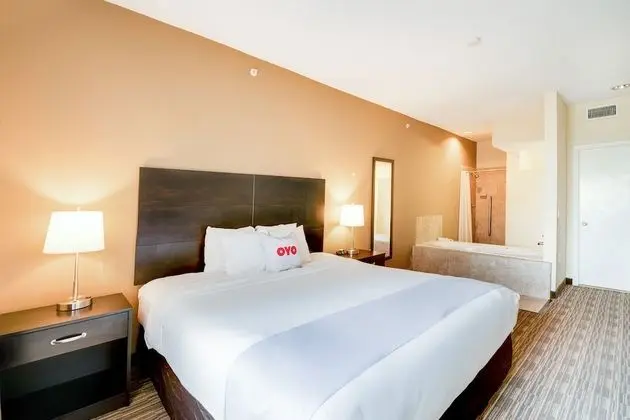 Deluxe Stüdyo Süit, 1 En Büyük (King) Boy Yatak, Sigara İçilmez