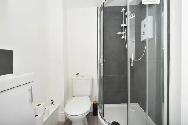 Superior Tek Büyük Yataklı Oda, Banyolu/Duşlu (With TV)