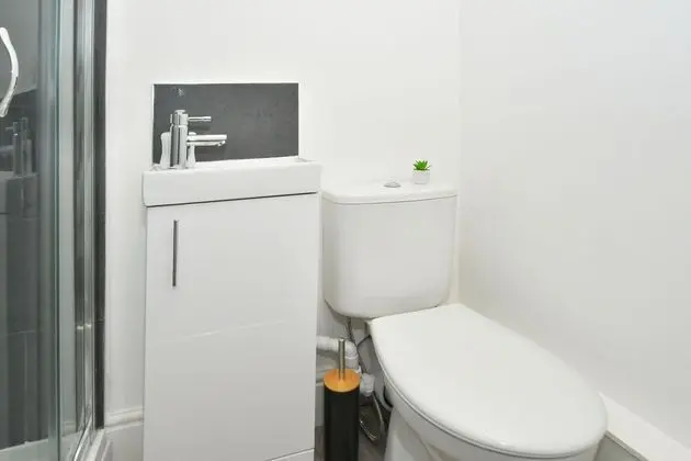 Superior Tek Büyük Yataklı Oda, Ortak Banyo (With TV)