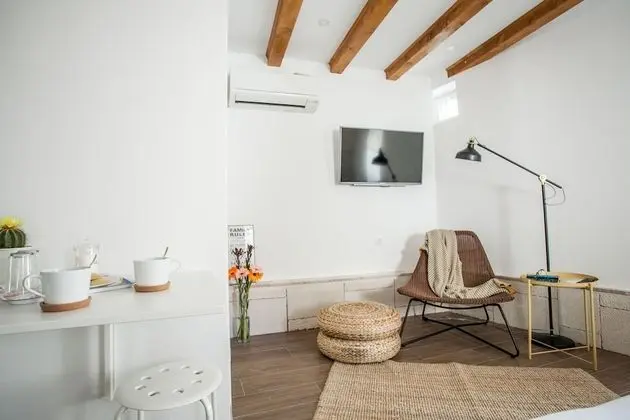 Deluxe Tek Büyük Yataklı Oda, Zemin Kat (A1)