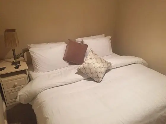 Tek Büyük Yataklı Oda, Banyolu/Duşlu (Double room )