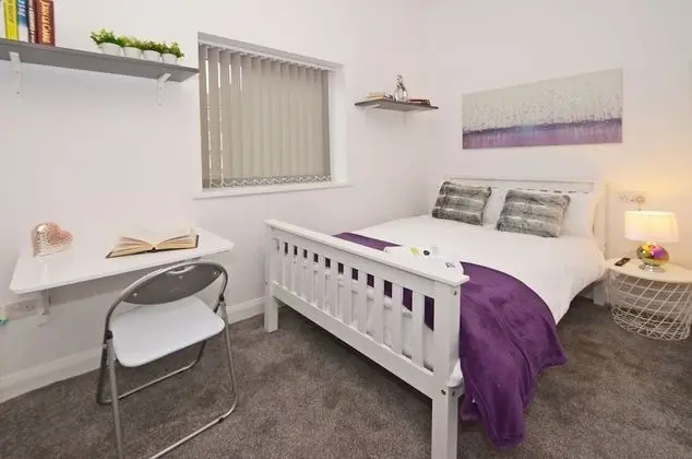 Superior Tek Büyük Yataklı Oda, Banyolu/Duşlu (With TV)