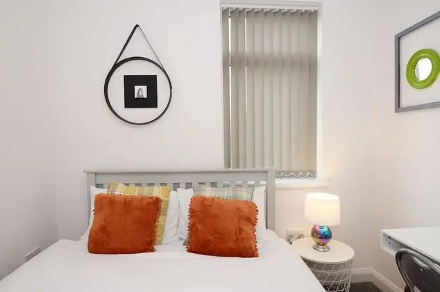 Superior Tek Büyük Yataklı Oda, Banyolu/Duşlu (With TV)