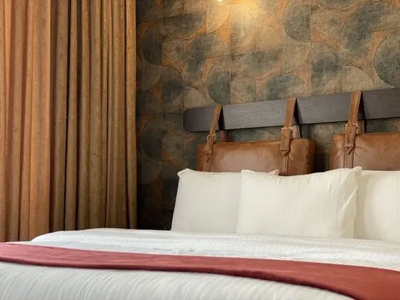 Deluxe Tek Büyük Yataklı Oda, 1 En Büyük (King) Boy Yatak, Şehir Manzaralı