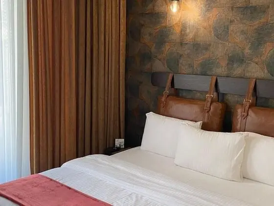 Luxury Tek Büyük Yataklı Oda, 1 En Büyük (King) Boy Yatak, Balkon, Şehir Manzaralı