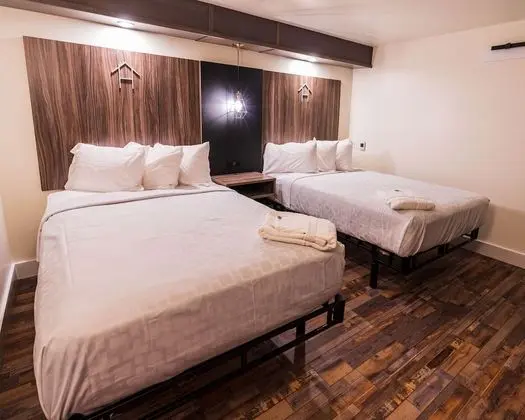 Standard Oda, 2 Çift Kişilik Yatak, Engellilere Uygun, Sigara İçilmez