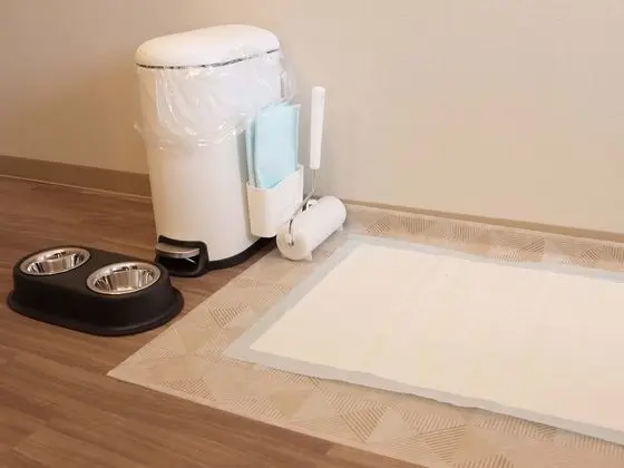 Tek Kişilik Oda, 1 Çift Kişilik Yatak, Sigara İçilmez (Pet Friendly)