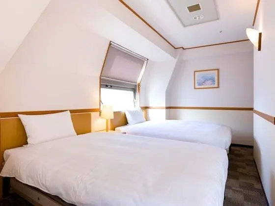 Deluxe İki Ayrı Yataklı Oda, Sigara İçilebilir