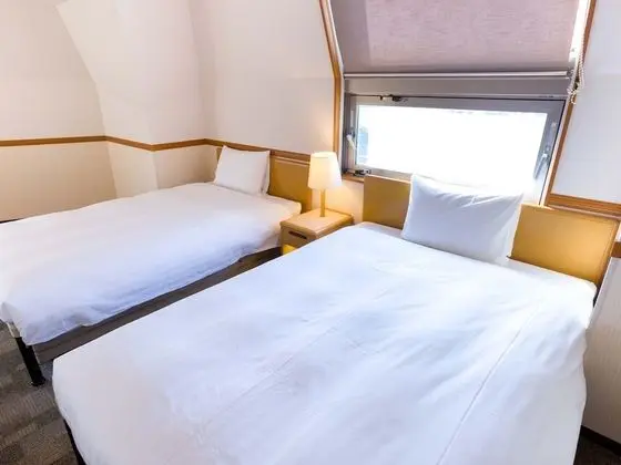 Deluxe İki Ayrı Yataklı Oda, Sigara İçilebilir