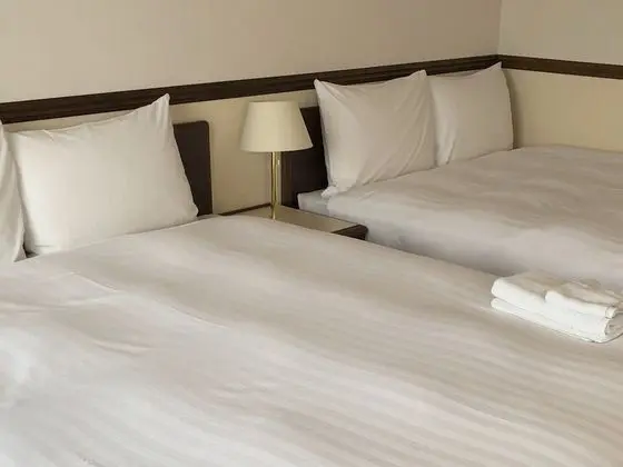 Deluxe İki Ayrı Yataklı Oda, Sigara İçilmez