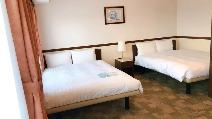 Deluxe İki Ayrı Yataklı Oda, Sigara İçilebilir