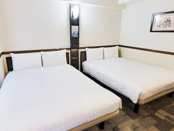 Deluxe İki Ayrı Yataklı Oda, Sigara İçilmez