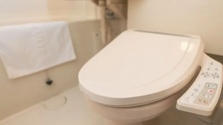 Deluxe Tek Kişilik Oda, Sigara İçilebilir