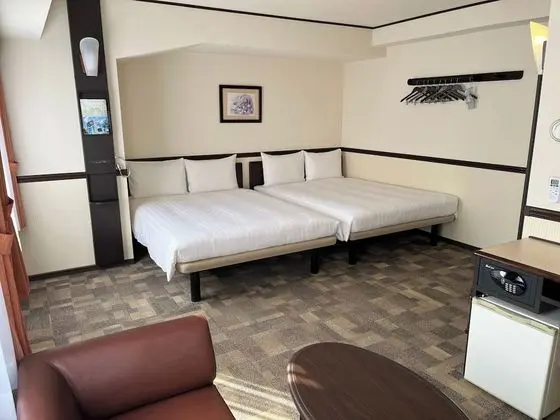 Deluxe İki Ayrı Yataklı Oda, Sigara İçilebilir