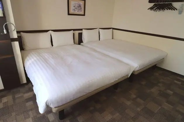 Deluxe İki Ayrı Yataklı Oda, Sigara İçilebilir