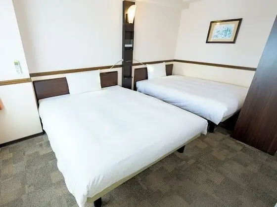 Deluxe İki Ayrı Yataklı Oda, Sigara İçilebilir