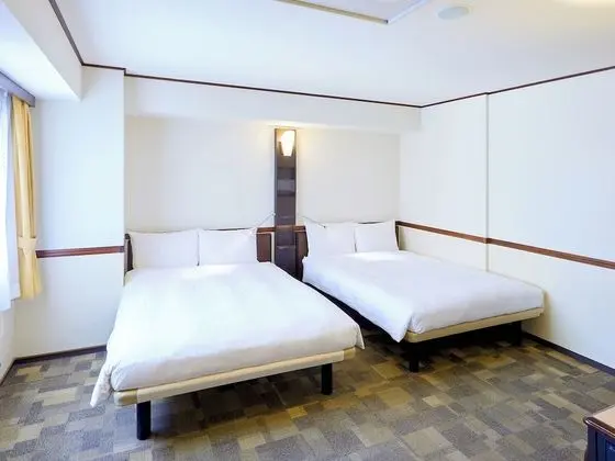Deluxe İki Ayrı Yataklı Oda, Sigara İçilebilir