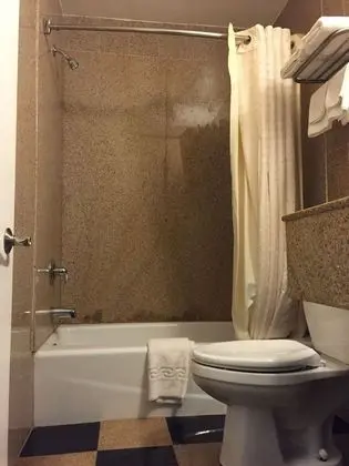 Premium Oda, 2 Çift Kişilik Yatak