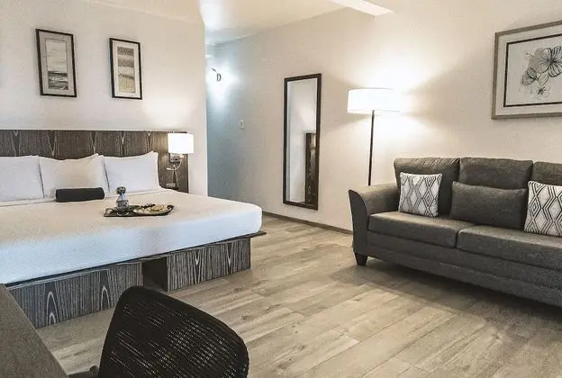 Premium Oda, Sigara İçilmez, Okyanus Manzaralı