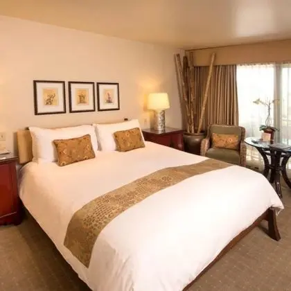 King Partial Ocean View Max 2 Guest