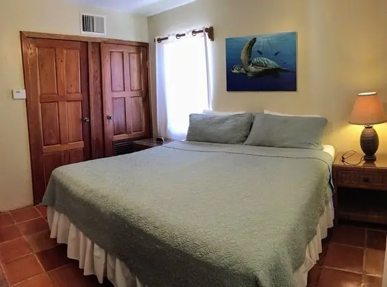 Villa, 1 En Büyük (King) Boy Yatak ve Çekyat, Okyanus Manzaralı (1st Floor Beachfront)