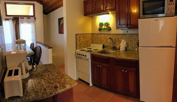 Villa, 1 En Büyük (King) Boy Yatak ve Çekyat, Okyanus Manzaralı (2nd Floor Beachfront)