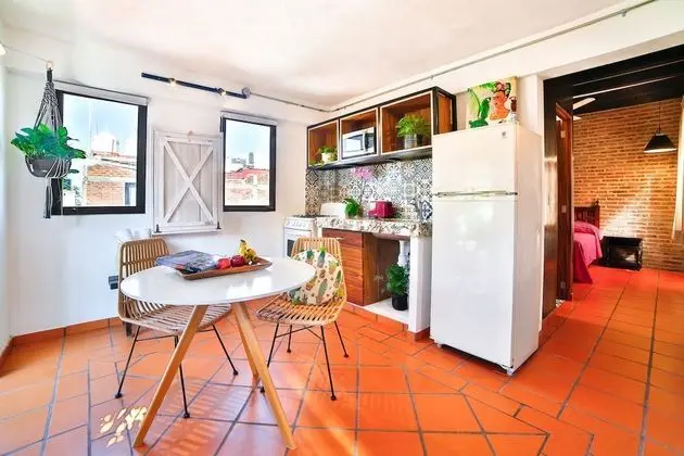Superior Süit, 1 Yatak Odası (with Kitchenette)