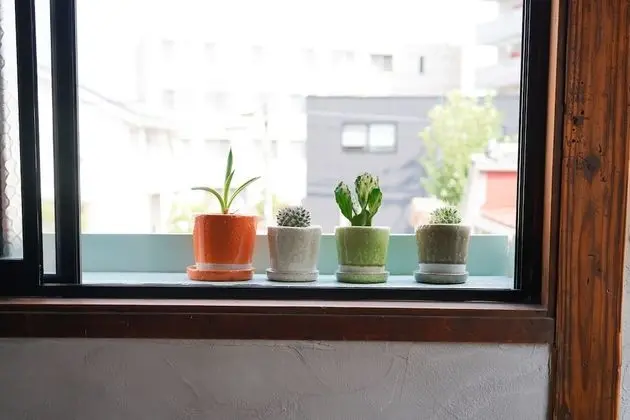 Traditional Oda (Deluxe, 661)