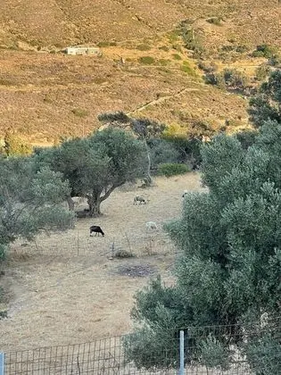 Kır Evi, Birden Çok Yatak