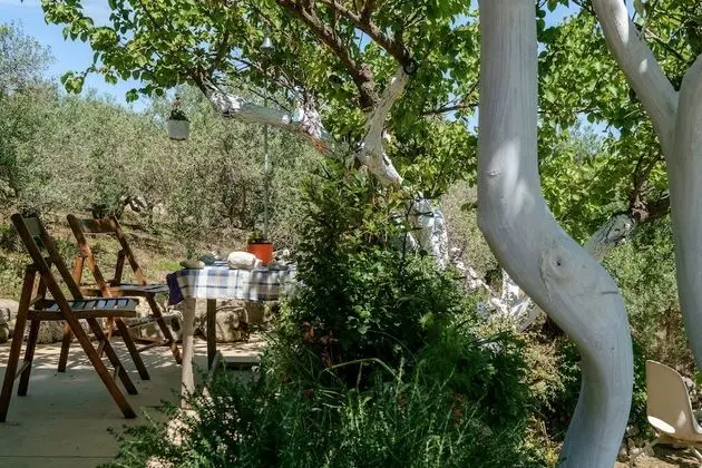 Traditional Ev, 2 Yatak Odası